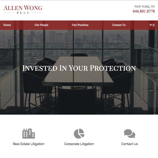 Litigation Law Firm